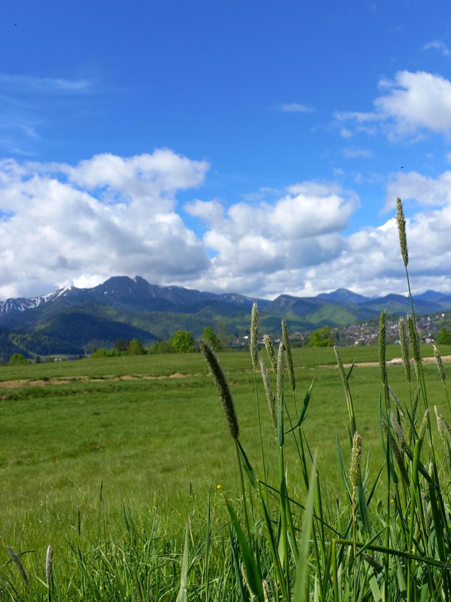 Domki Na Gawlakach Zakopane Pokoj fotografie